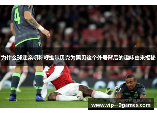 为什么球迷亲切称呼维尔贝克为黑贝这个外号背后的趣味由来揭秘